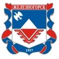 Железногорск. Курская область. Запись в школу